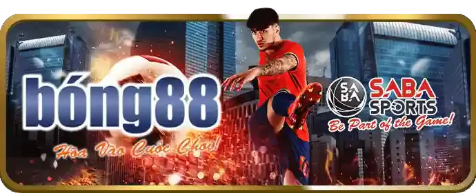Các loại kèo phổ biến và cách đọc tỷ lệ kèo 88